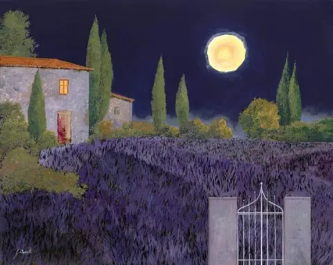 Lavender at Night