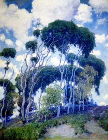 Laguna Eucalyptus