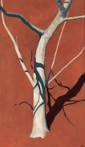 红土前的无花果树 - (1911)