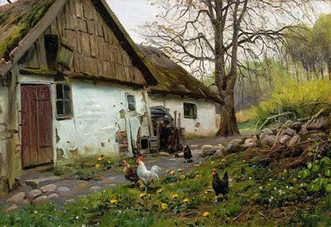 Bromolle Gård Med Kyllinger