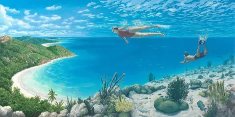 Oltre la barriera corallina