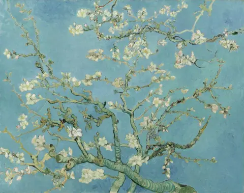Almendro En Flor - Original