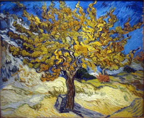 El árbol de morera en otoño