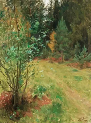Paesaggio da Gopsmor